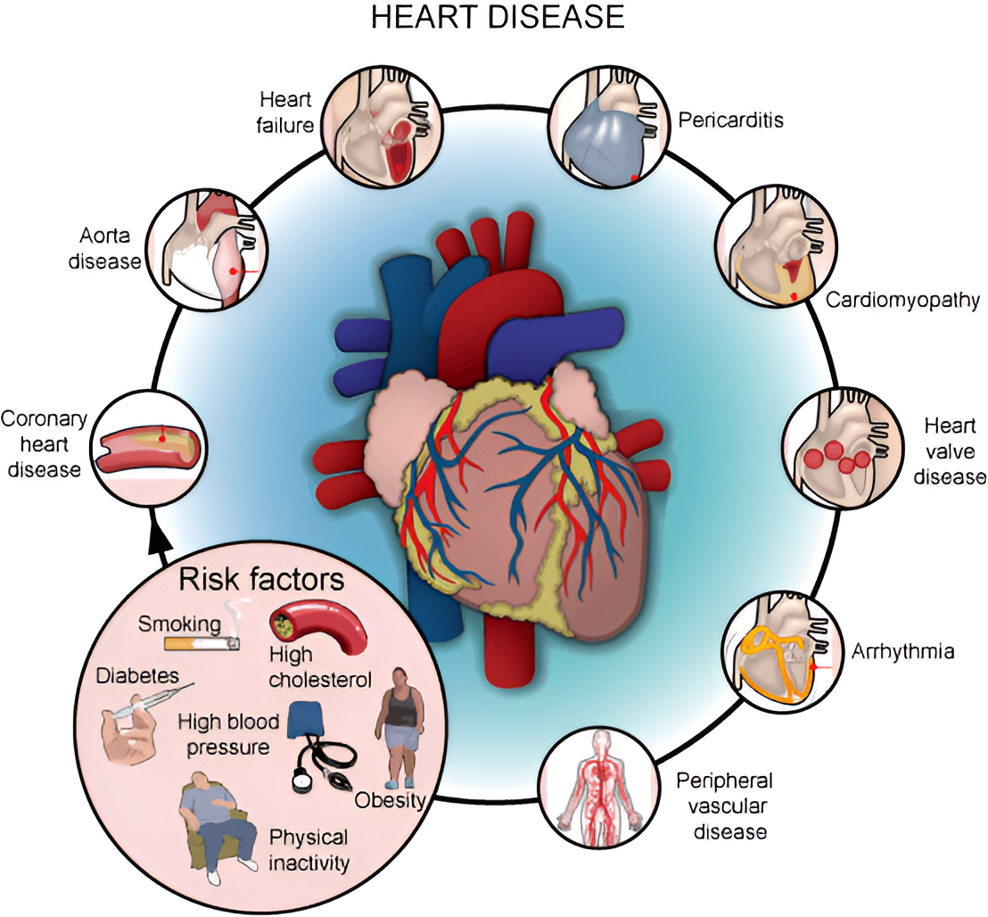 Heart Surgery Banner